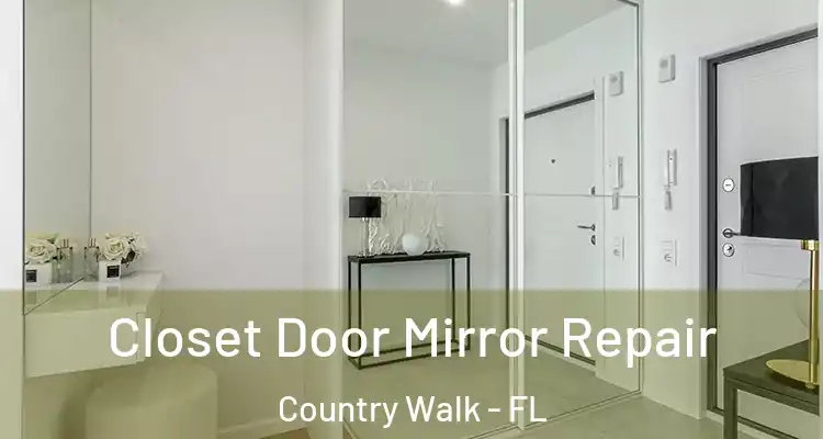  Closet Door Mirror Repair Country Walk - FL