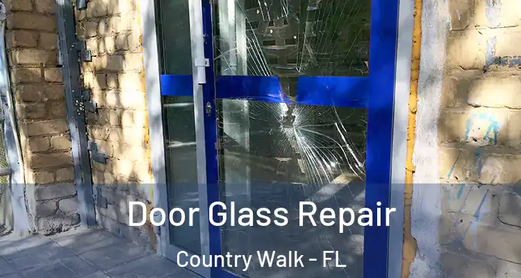  Door Glass Repair Country Walk - FL