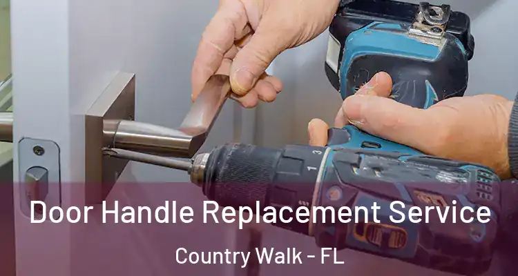  Door Handle Replacement Service Country Walk - FL