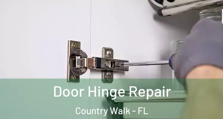  Door Hinge Repair Country Walk - FL