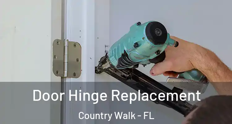  Door Hinge Replacement Country Walk - FL