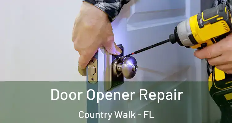  Door Opener Repair Country Walk - FL