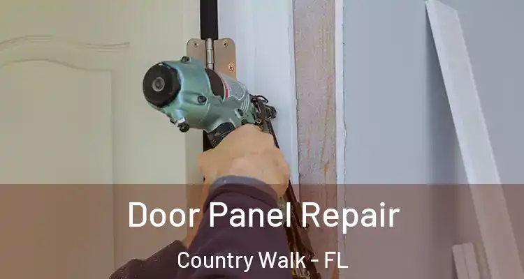 Door Panel Repair Country Walk - FL