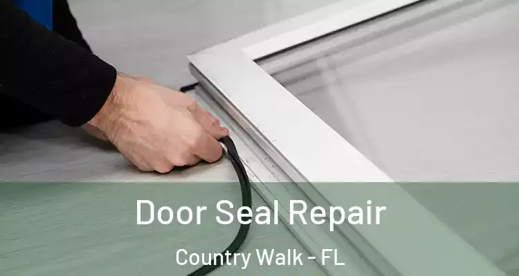  Door Seal Repair Country Walk - FL