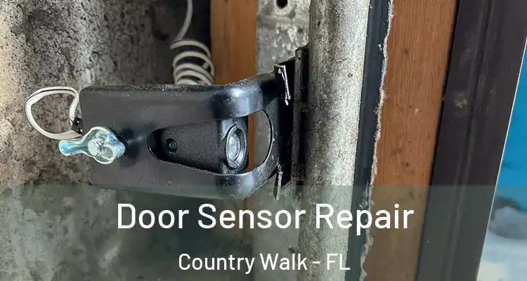  Door Sensor Repair Country Walk - FL