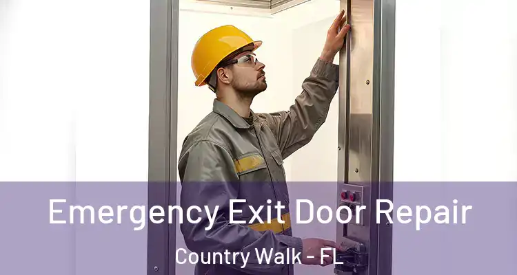  Emergency Exit Door Repair Country Walk - FL