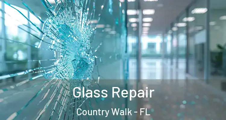  Glass Repair Country Walk - FL