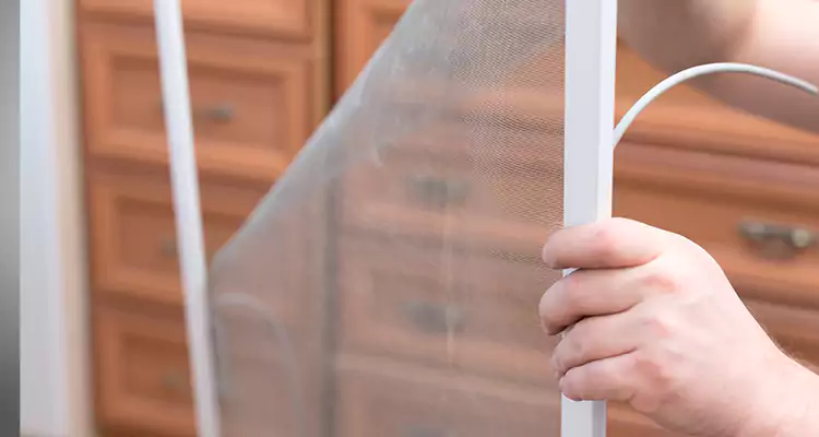 Privacy Mesh Screen Door Installation in Country Walk, FL