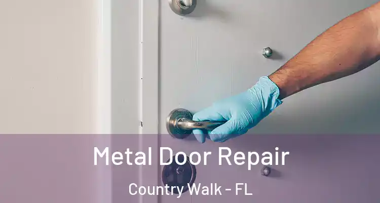  Metal Door Repair Country Walk - FL