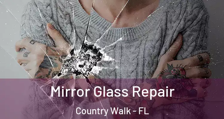  Mirror Glass Repair Country Walk - FL
