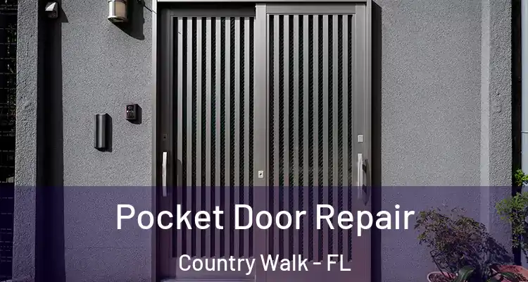  Pocket Door Repair Country Walk - FL