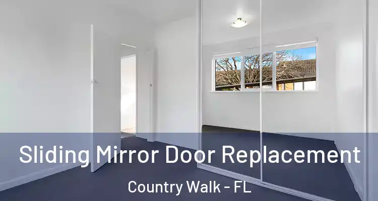  Sliding Mirror Door Replacement Country Walk - FL