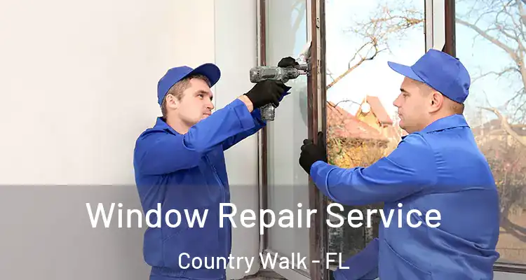  Window Repair Service Country Walk - FL